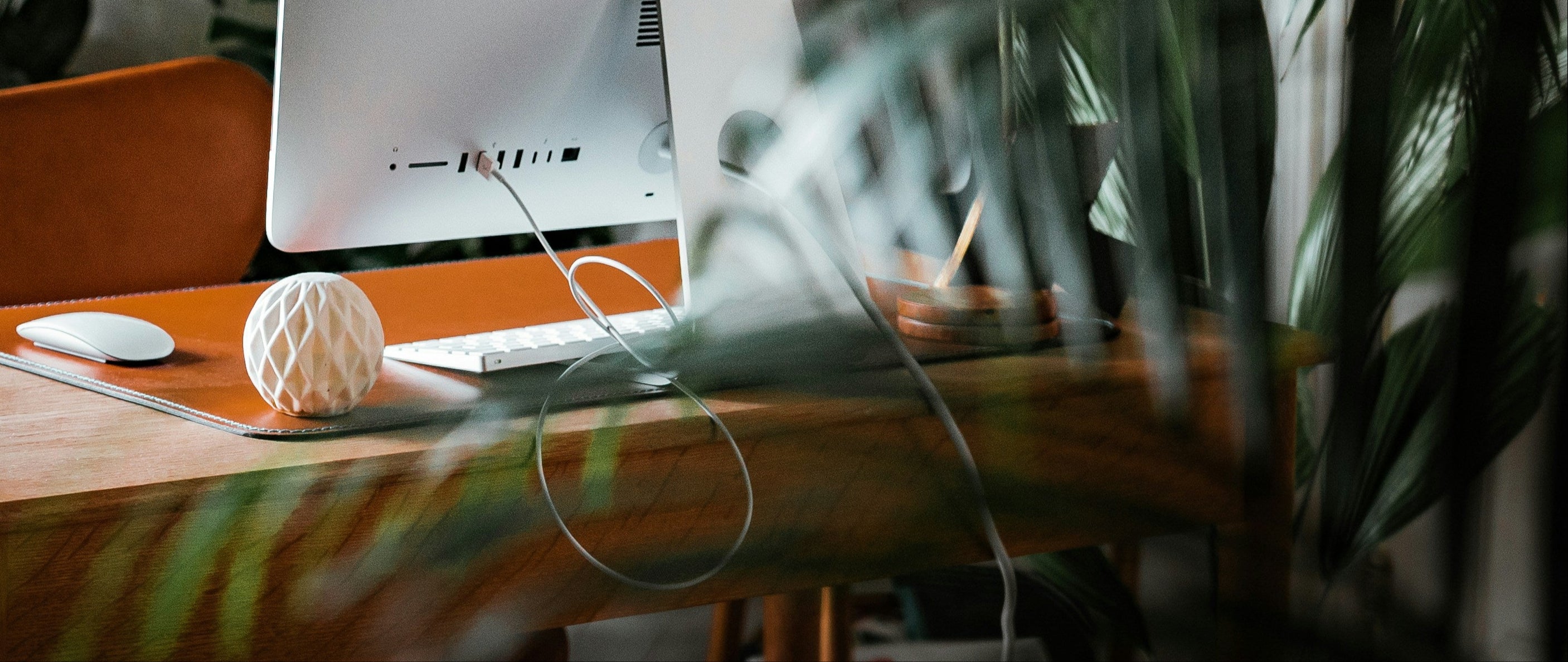 A desk, a computer surrounded by plants.